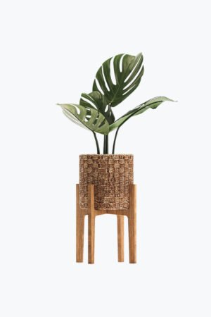 Decorative Plant Pot for Decor